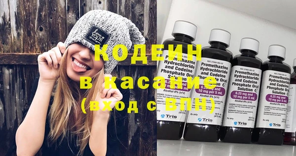 индика Алзамай