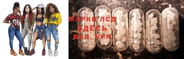 индика Алзамай
